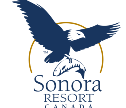 Logo Sonora Blue and Yellow